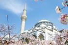     日本：民眾排隊參觀東京清真寺
